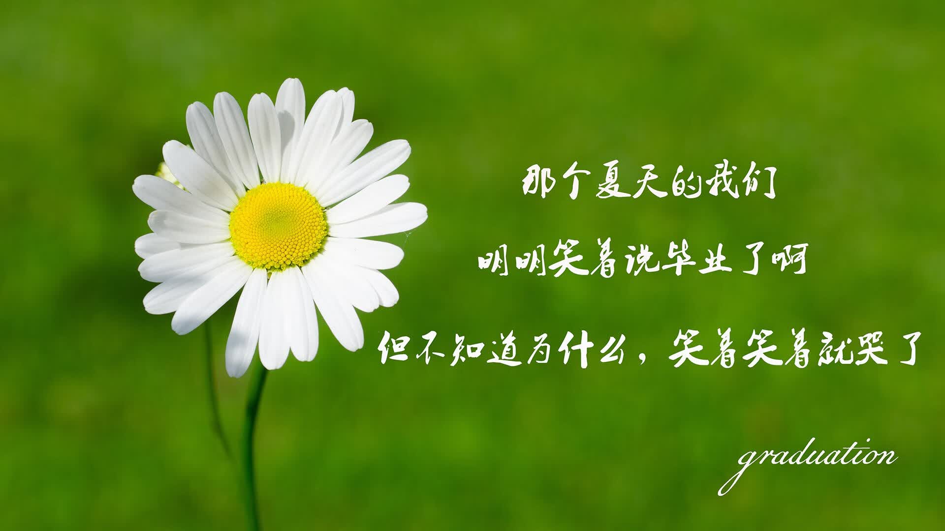 真丝面料的特征介绍(真丝面料的主要性能)